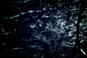 爱游戏平台-“战术对决：布置与应变中的精彩瞬间”，战术队伍