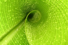 爱游戏娱乐网址-【“秒投”战术分析】是否会成为未来比赛中的“必杀技”？，秒投选手