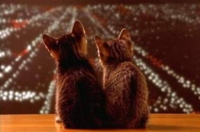 爱游戏 电竞-“战术创新：新兴打法引领未来比赛潮流”，战术创新的意义