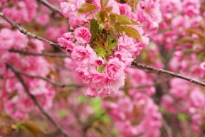 爱游戏官网-“战术变化：比赛中的智慧博弈”，比赛战术名词解释